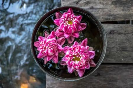 Song Saa Private Island - 38