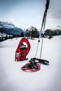 Zanniers Le Chalet - 23