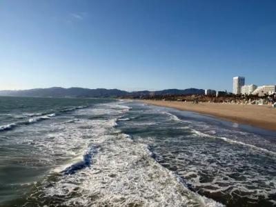 Shore - 15