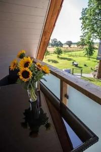 RingForellenhof - 62