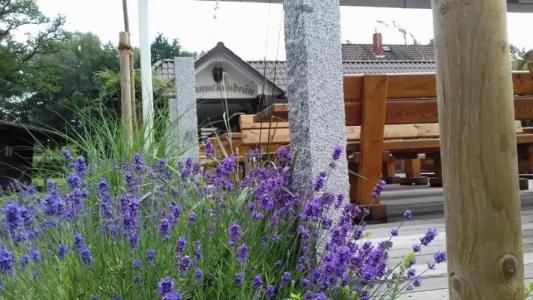 RingForellenhof - 25