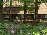 Apartment with garden view