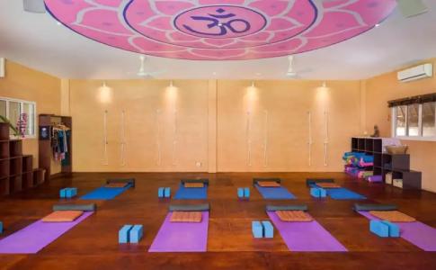Navutu Dreams Resort & Wellness Retreat - 12