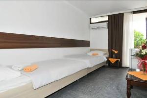 Hotel Kamelija, Tivat