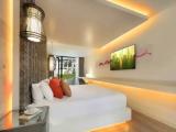 Swim Up Double Studio Suite