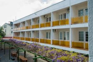 Hotel Mimoza, Tivat