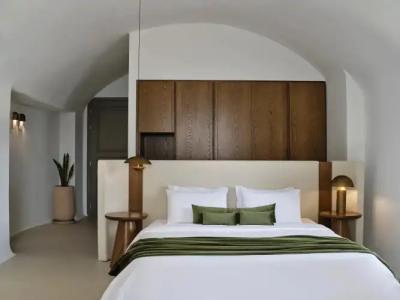 Andronis Luxury Suites - 103