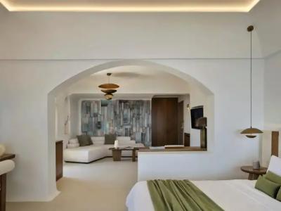 Andronis Luxury Suites - 96