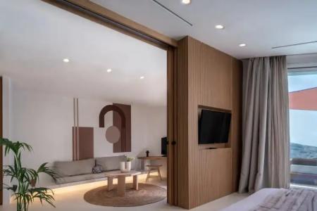 Andronis Luxury Suites - 119
