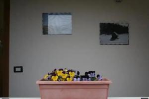 Bed and Breakfast Cirelli Mini-hotel, Scalea