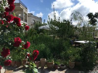 Kemal's Guest House - 17