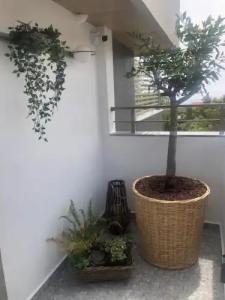 Samira Exclusive & Apartments - 90