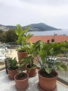 Samira Exclusive & Apartments - 130