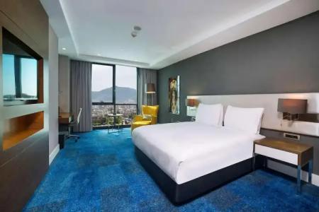 Radisson Blu, Kayseri - 113