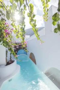 Blue Waves Suites & Apartments - 229