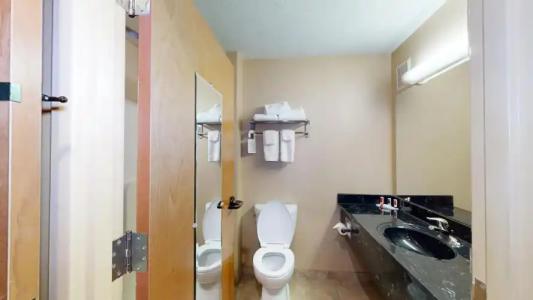 Holiday Inn Express Miami Airport-Blue Lagoon Area, an IHG - 9