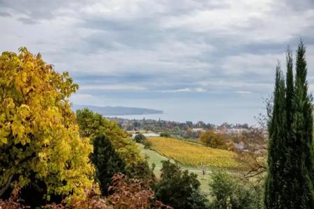 ParkSt.Leonhard - 46