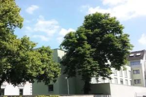 ante porta DAS STADTHOTEL, Trier