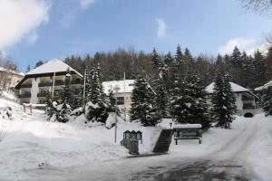 Berghotel Schwarzwaldblick, Triberg