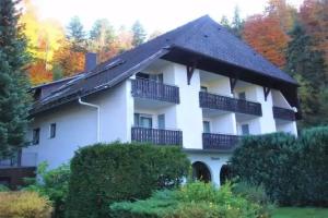 Berghotel Schwarzwaldblick, Triberg