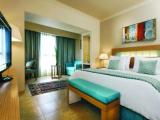 Deluxe Double room Mountain View