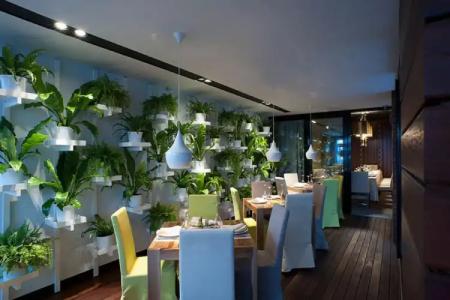 Aleksandar Rafailovići - 14