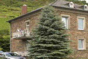 Schloss-Hotel Petry, Treis-Karden