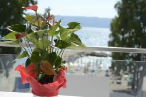 Hotel Royal, Vlore