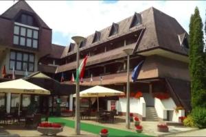 Viking Hotel, Gardony