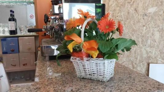 Garnì Capinera - 26