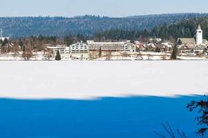 Titisee-Neustadt - Hotels