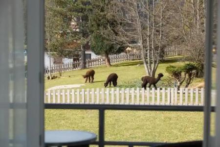 BRUGGER' Spark Am Titisee - 105