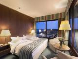 Superior room with park view
