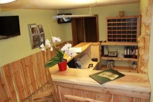 Landhotel Gasthof Zwota, Klingenthal