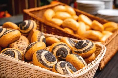 AHORN SeeTemplin - 10