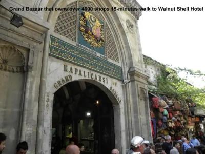 Walnut Shell - 32