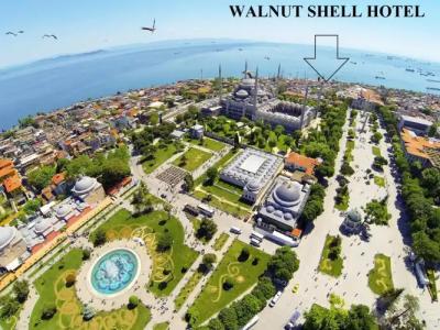 Walnut Shell - 9