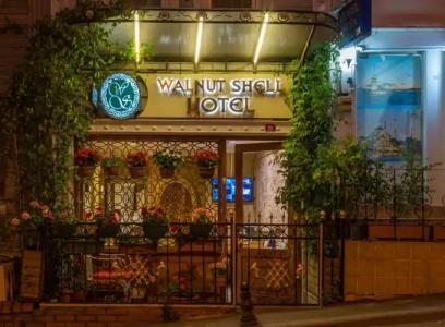 Walnut Shell - 28