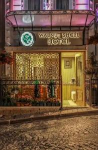 Walnut Shell - 3