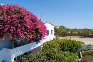 Margarita Apartments, Ierapetra