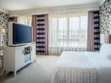 1 Bedroom Diplomatic Double Suite with city view