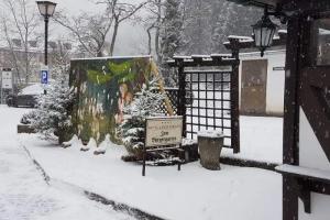 Hotel Zum Bürgergarten, Stolberg (Harz)