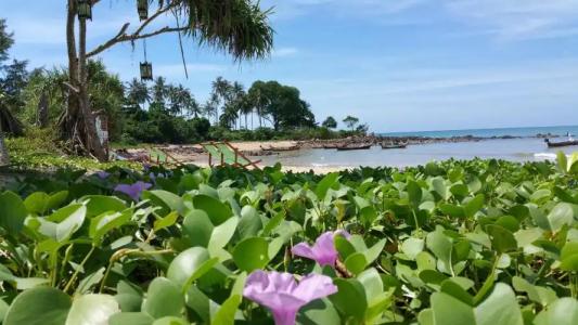 Lazy Days Bungalows - 11