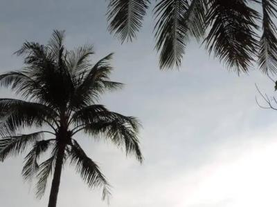 Lazy Days Bungalows - 12