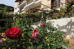 Boutique Hotel Parnassia, Arachova