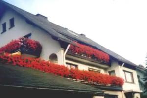 Haus Hubertus Guest house, Winterberg
