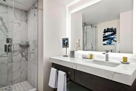 DoubleTree by Hilton Chicago Magnificent Mile - 9