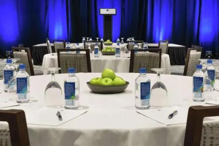 DoubleTree by Hilton Chicago Magnificent Mile - 23