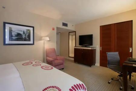 Millennium Knickerbocker Chicago - 6