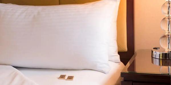 Millennium Knickerbocker Chicago - 53